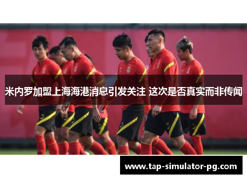 米内罗加盟上海海港消息引发关注 这次是否真实而非传闻