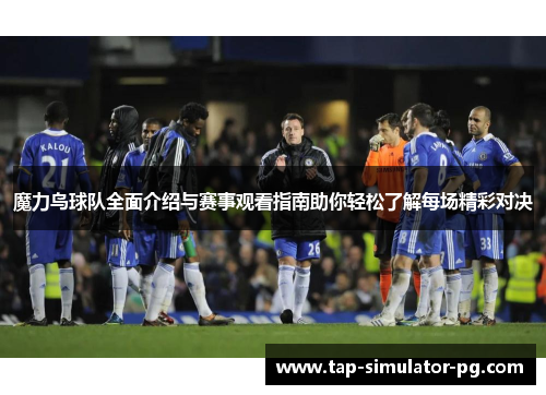 魔力鸟球队全面介绍与赛事观看指南助你轻松了解每场精彩对决